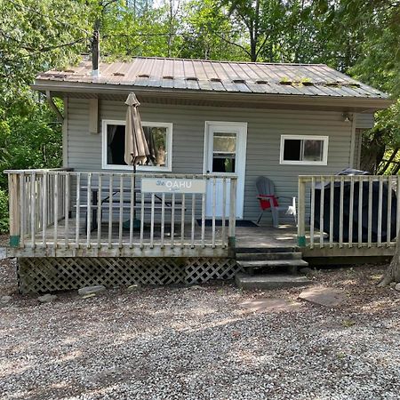 Bayshore Cottages Wiarton Bagian luar foto